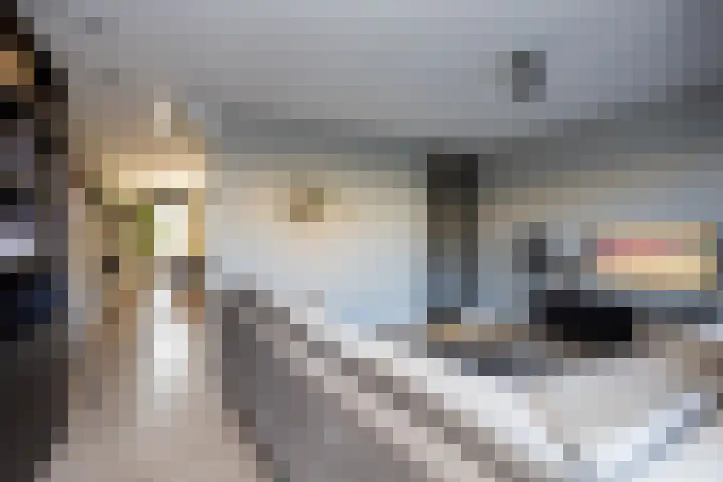 Oostmeerlaan 140 Berkel en Rodenrijs thumbnail 15
