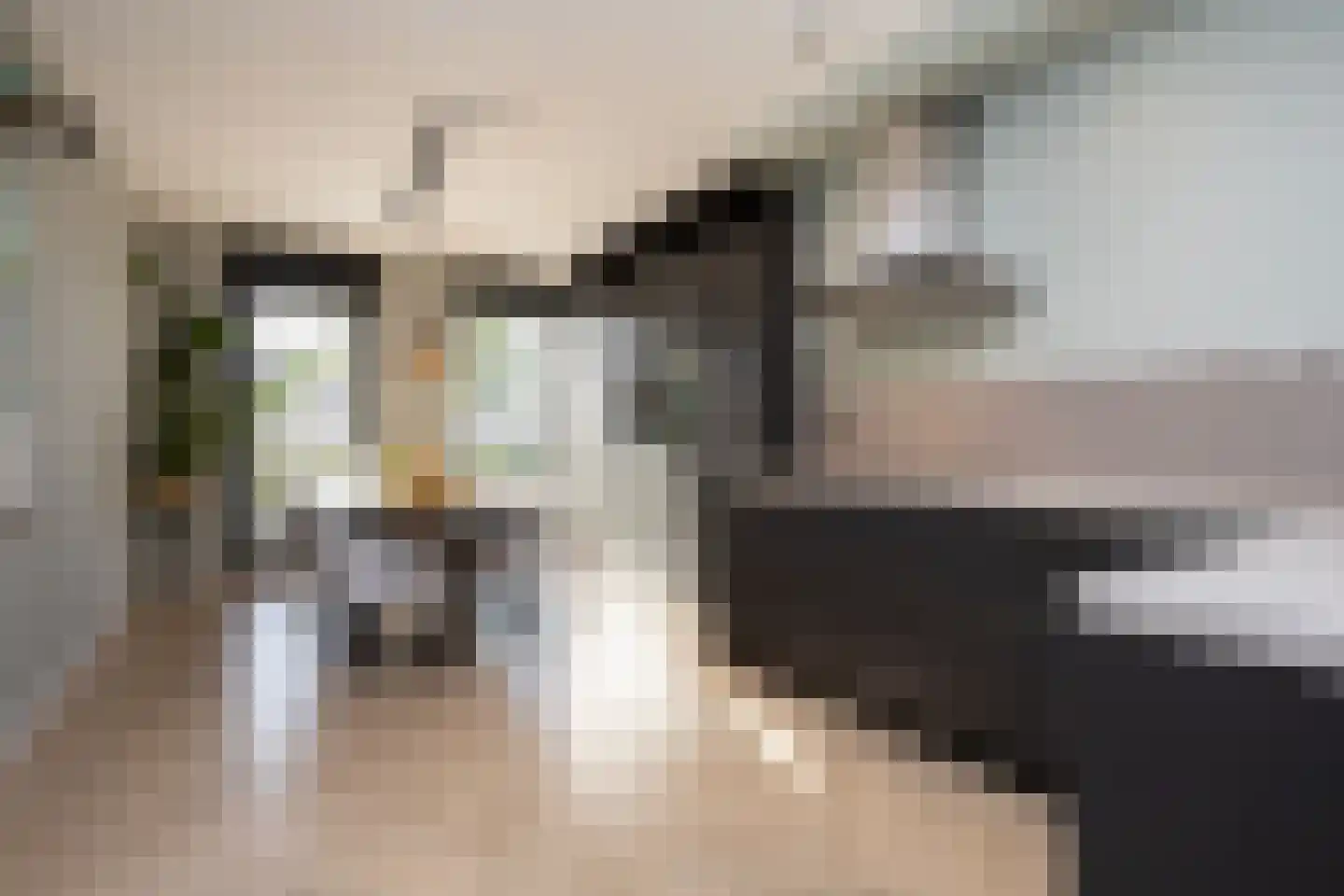 Oostmeerlaan 140 Berkel en Rodenrijs thumbnail 16
