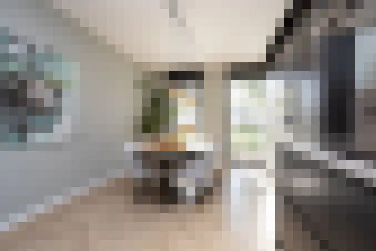 Oostmeerlaan 140 Berkel en Rodenrijs thumbnail 18