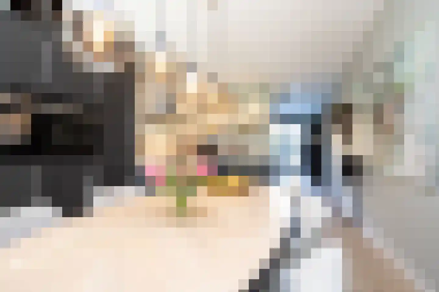 Oostmeerlaan 140 Berkel en Rodenrijs thumbnail 21