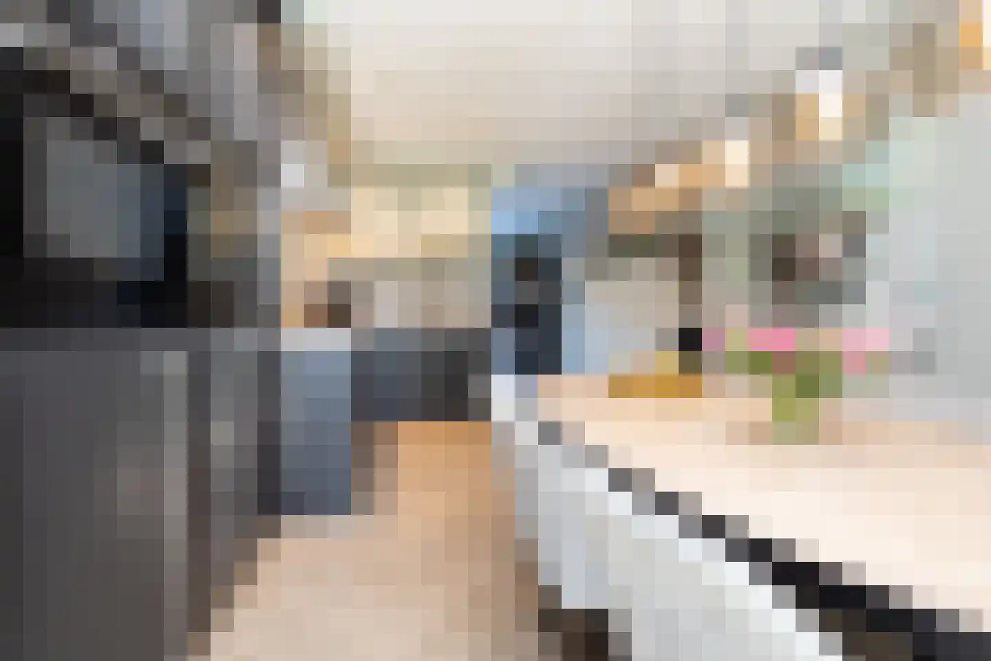 Oostmeerlaan 140 Berkel en Rodenrijs thumbnail 22