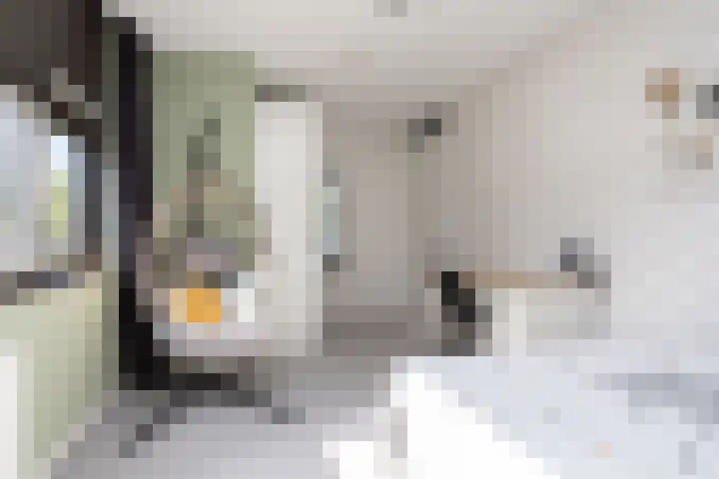 Oostmeerlaan 140 Berkel en Rodenrijs thumbnail 30