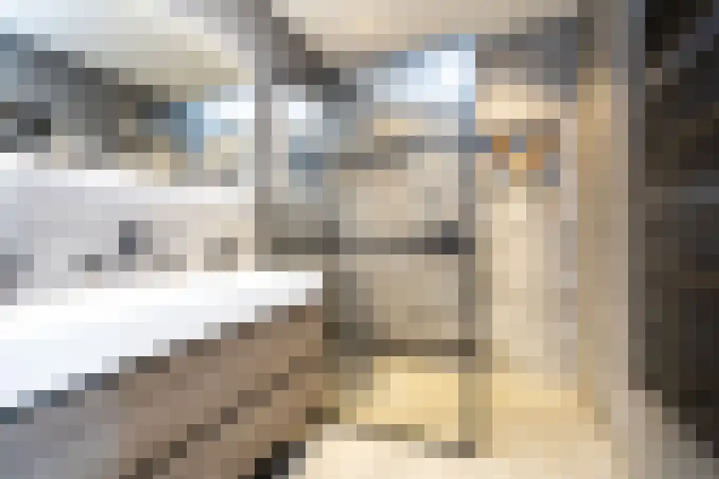 Oostmeerlaan 140 Berkel en Rodenrijs thumbnail 32