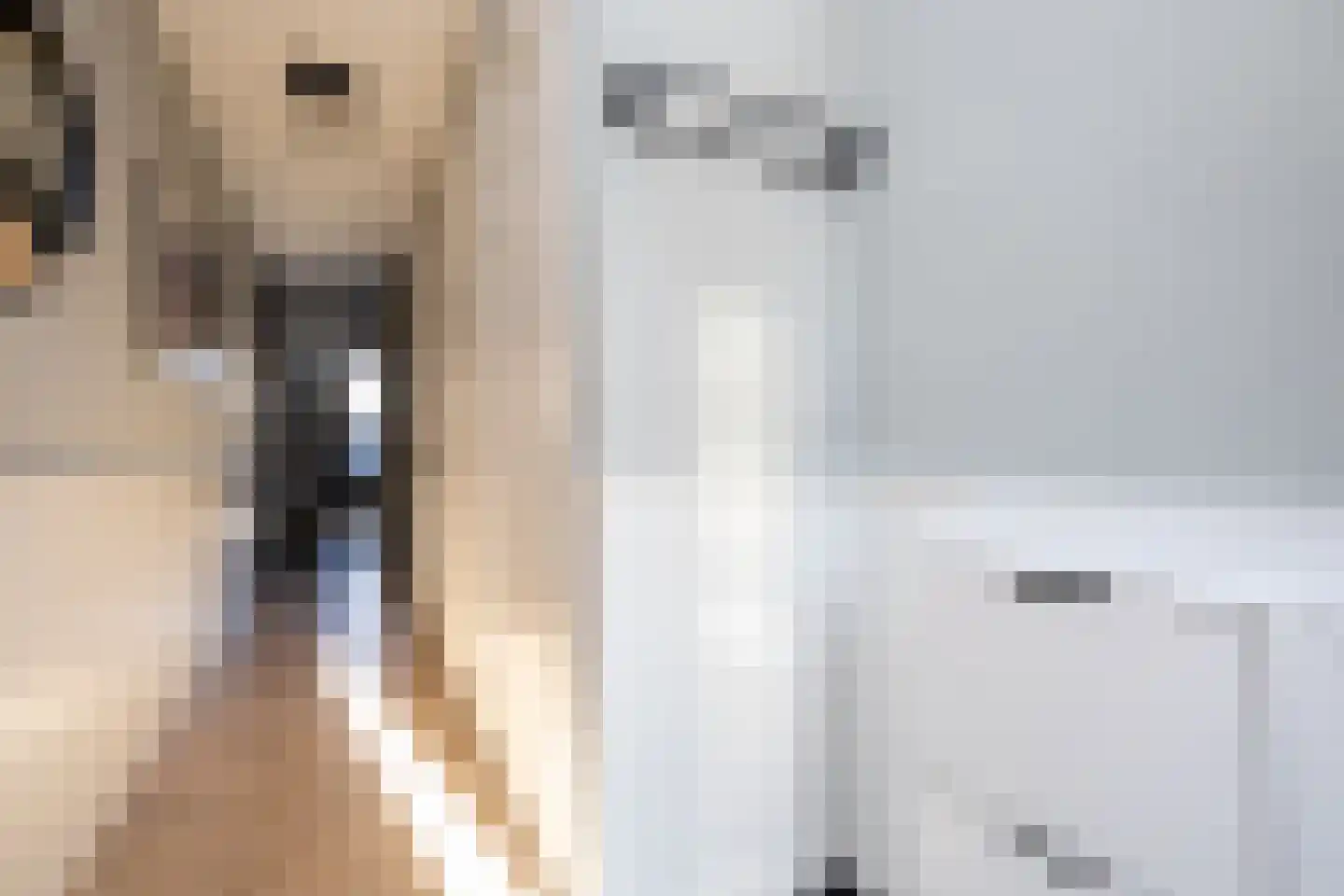 Oostmeerlaan 140 Berkel en Rodenrijs thumbnail 6