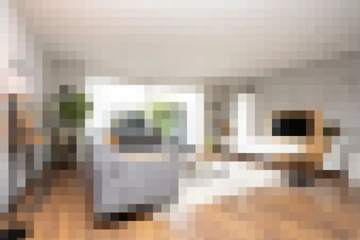Oostmeerlaan 164 Berkel en Rodenrijs thumbnail 10