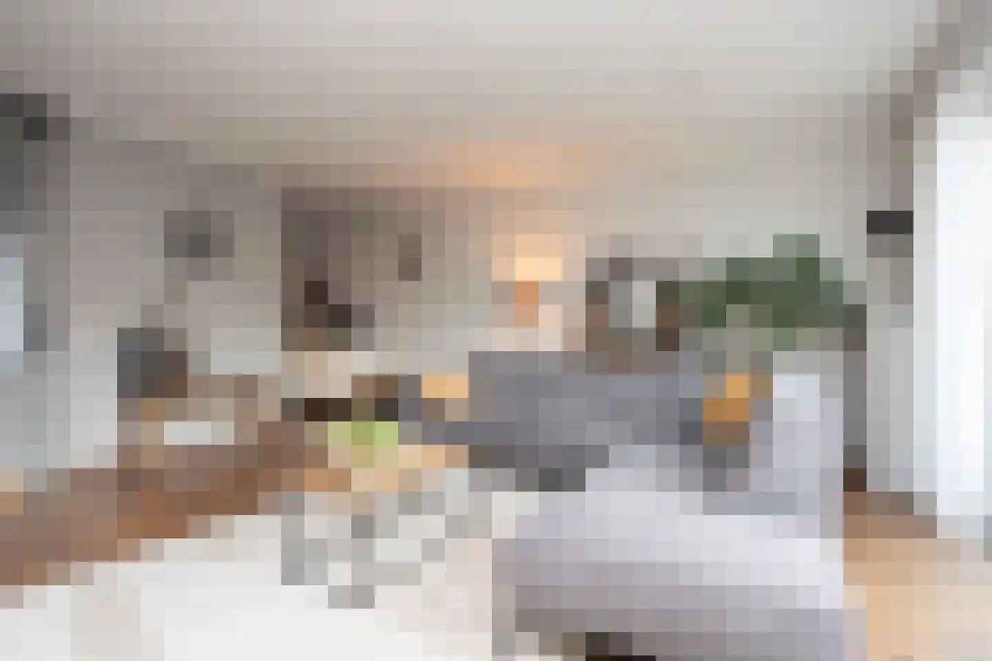 Oostmeerlaan 164 Berkel en Rodenrijs thumbnail 12