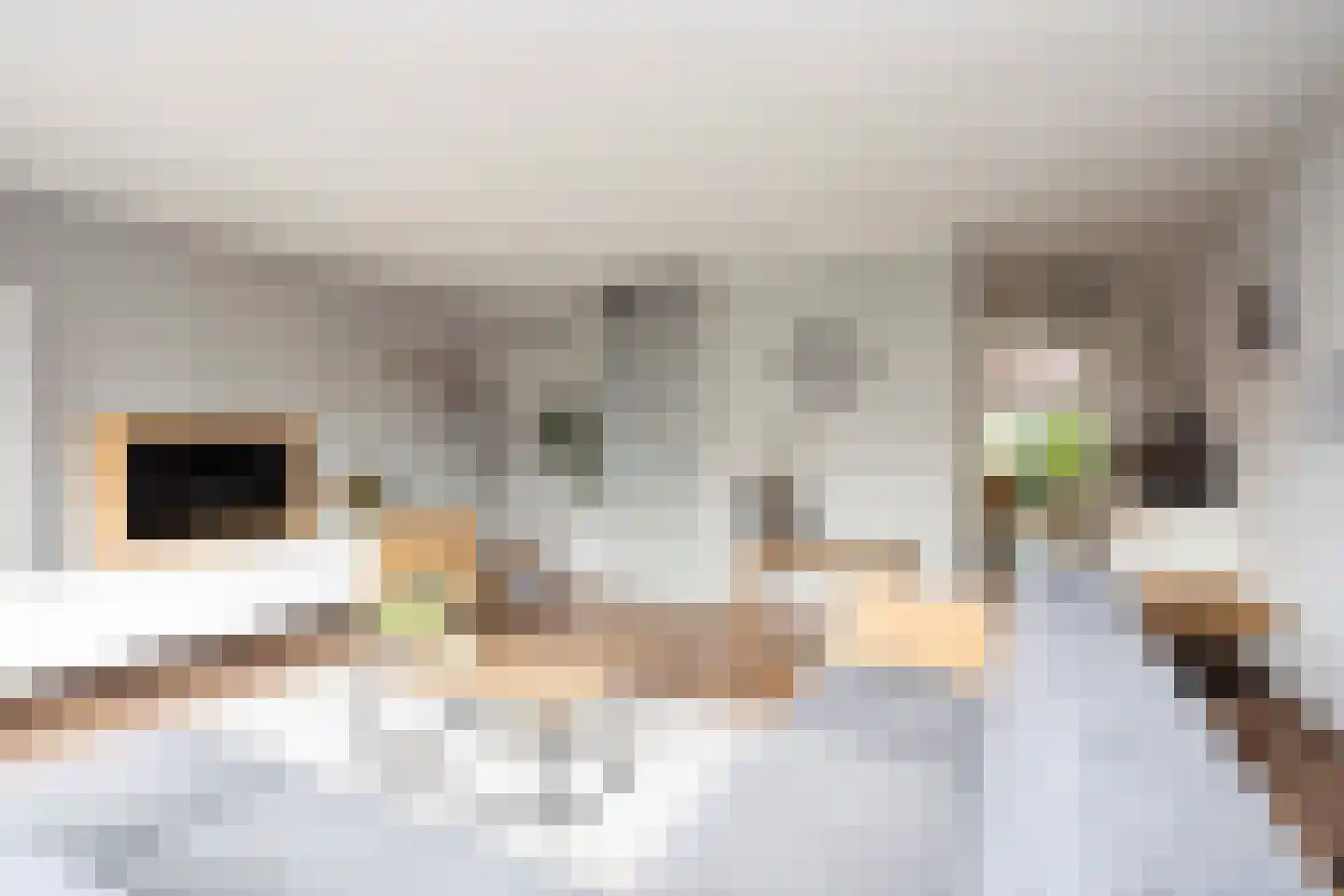 Oostmeerlaan 164 Berkel en Rodenrijs thumbnail 13