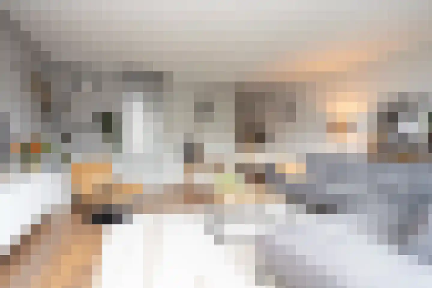 Oostmeerlaan 164 Berkel en Rodenrijs thumbnail 14