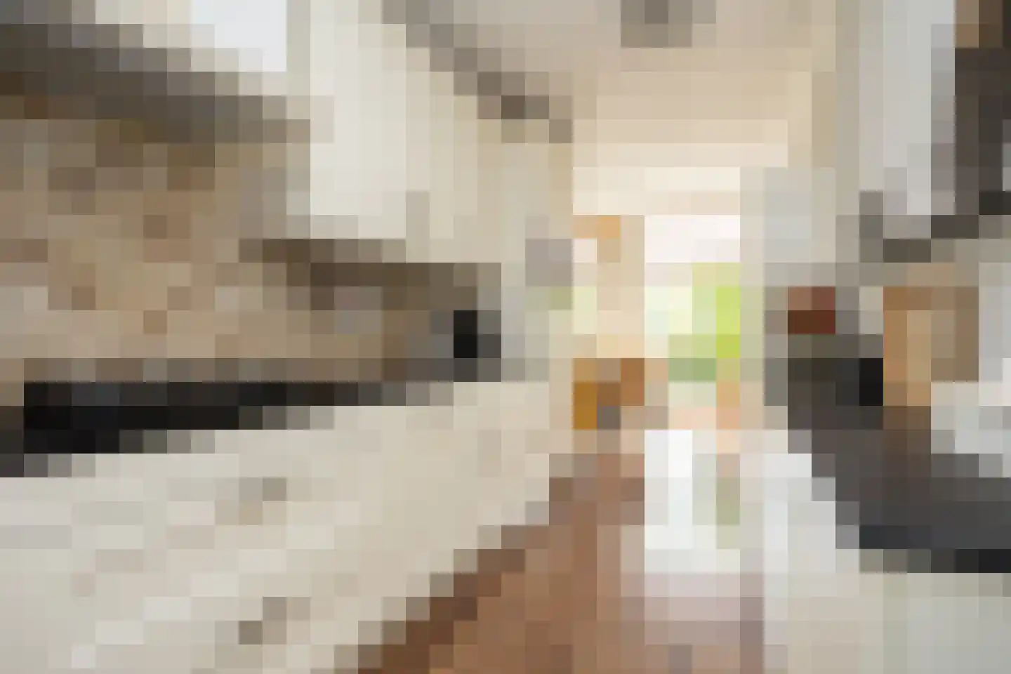 Oostmeerlaan 164 Berkel en Rodenrijs thumbnail 18