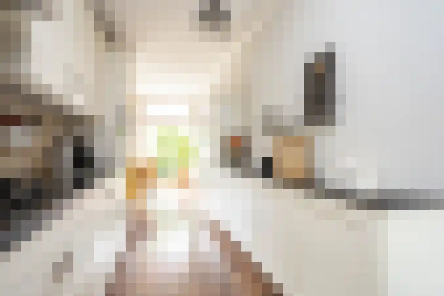 Oostmeerlaan 164 Berkel en Rodenrijs thumbnail 19