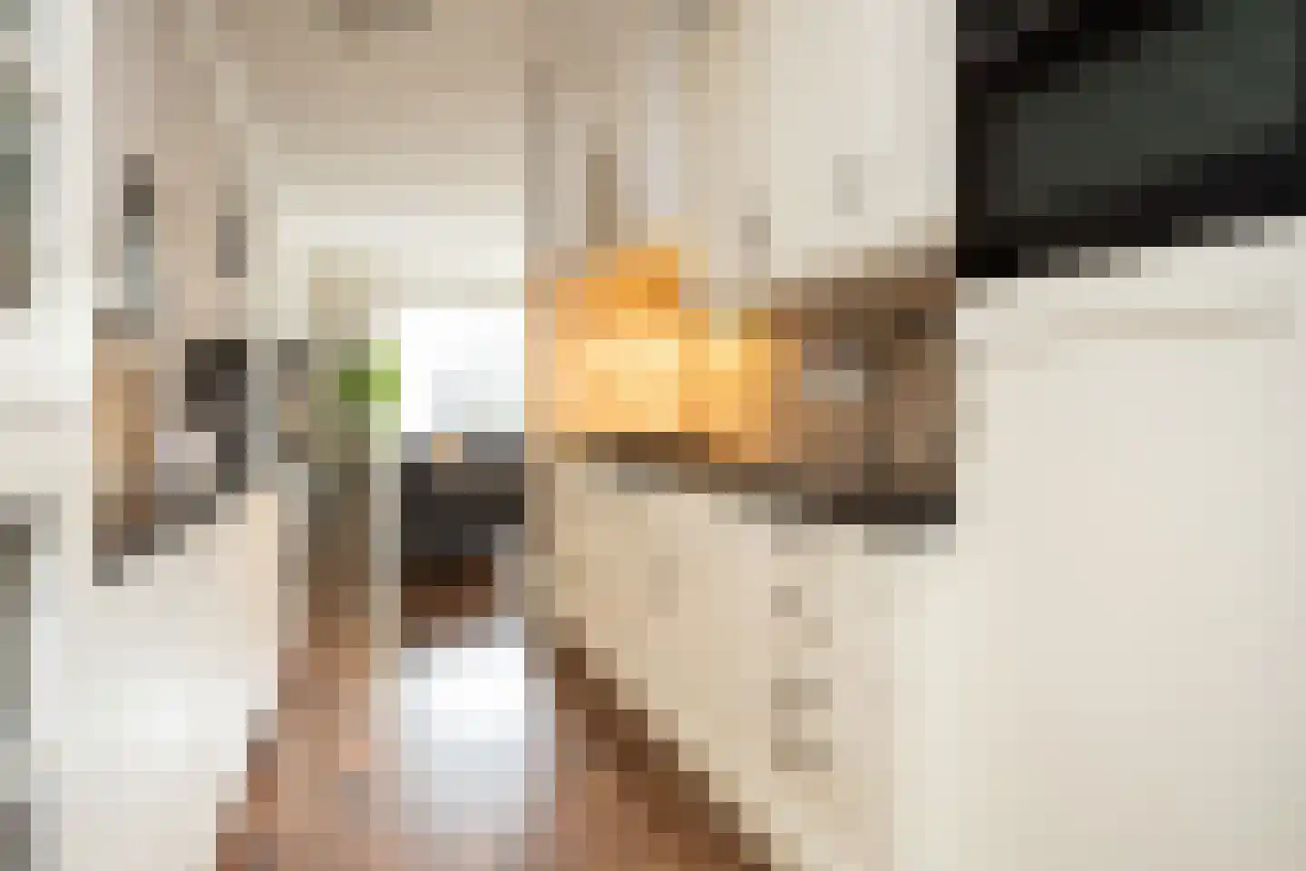 Oostmeerlaan 164 Berkel en Rodenrijs thumbnail 20