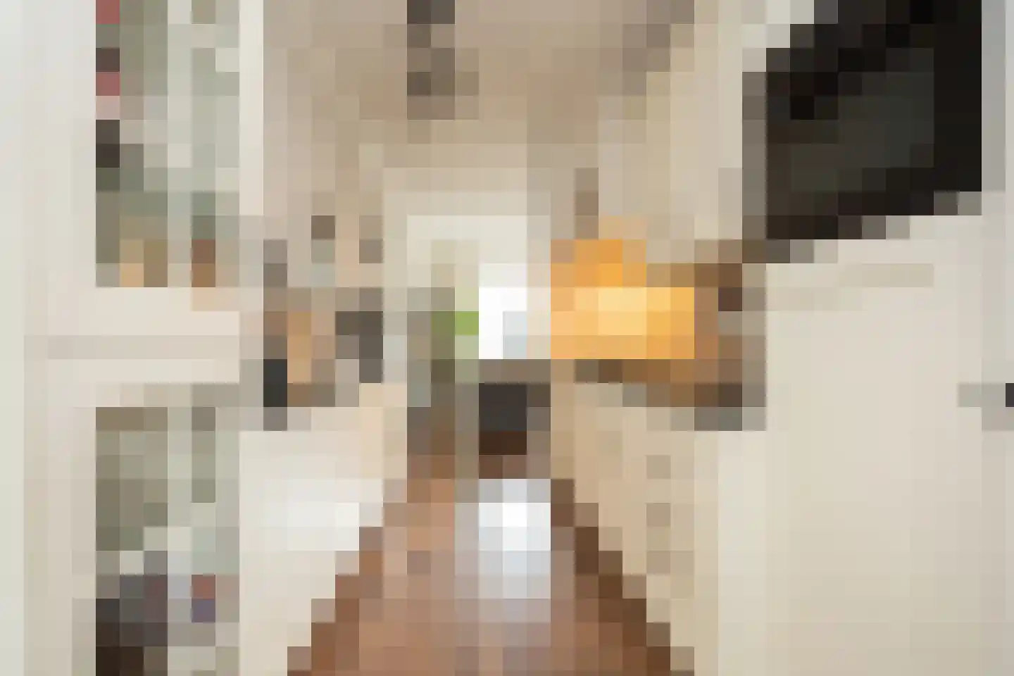 Oostmeerlaan 164 Berkel en Rodenrijs thumbnail 21