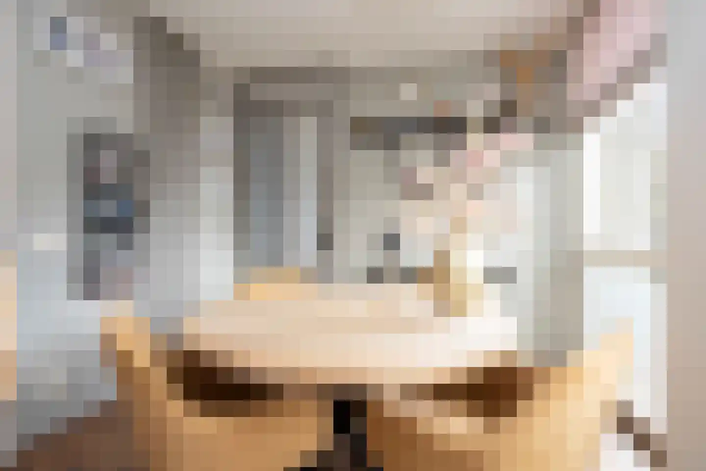Oostmeerlaan 164 Berkel en Rodenrijs thumbnail 23