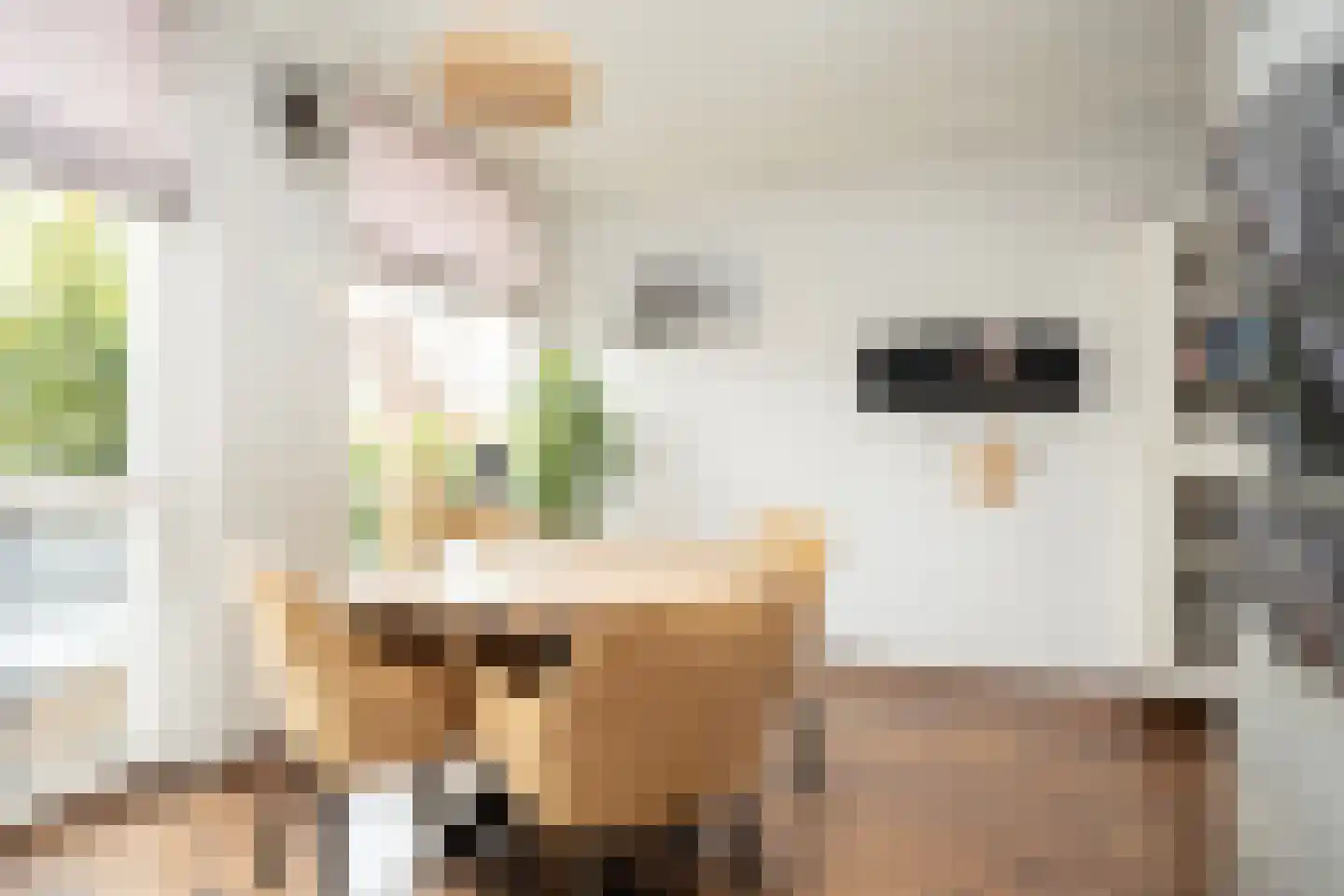 Oostmeerlaan 164 Berkel en Rodenrijs thumbnail 24