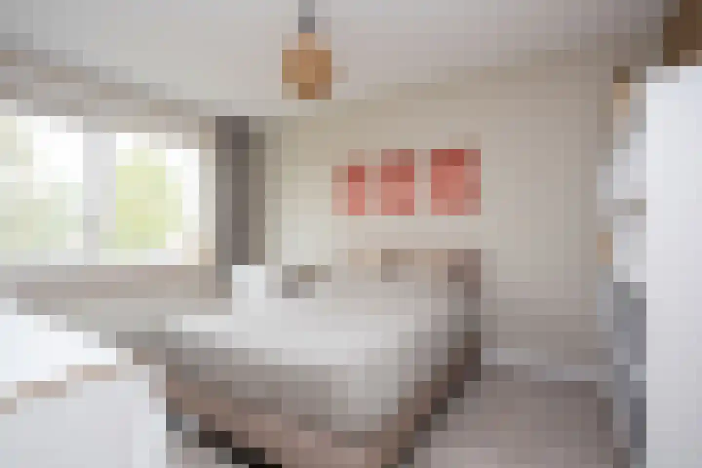 Oostmeerlaan 164 Berkel en Rodenrijs thumbnail 26