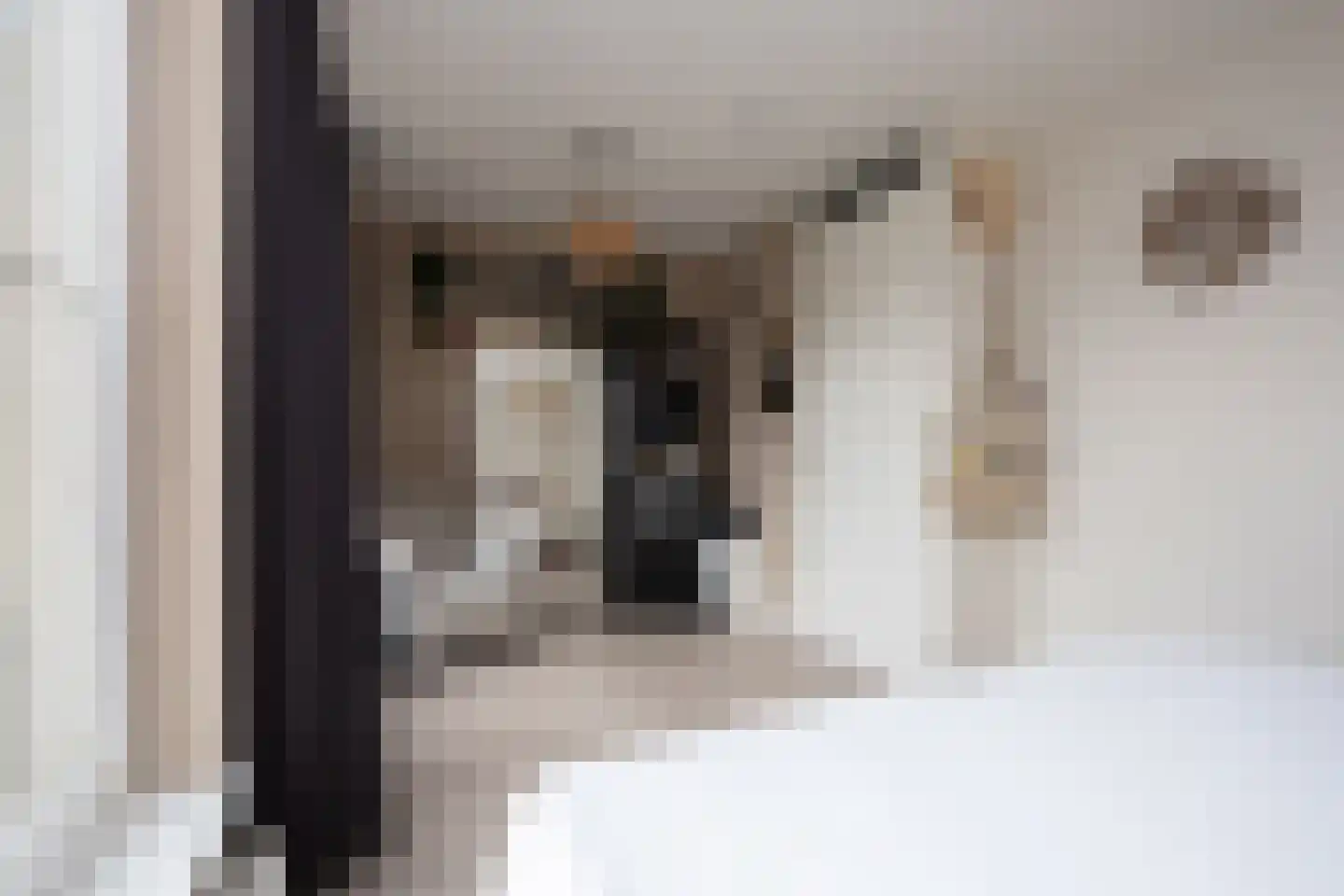 Oostmeerlaan 164 Berkel en Rodenrijs thumbnail 30