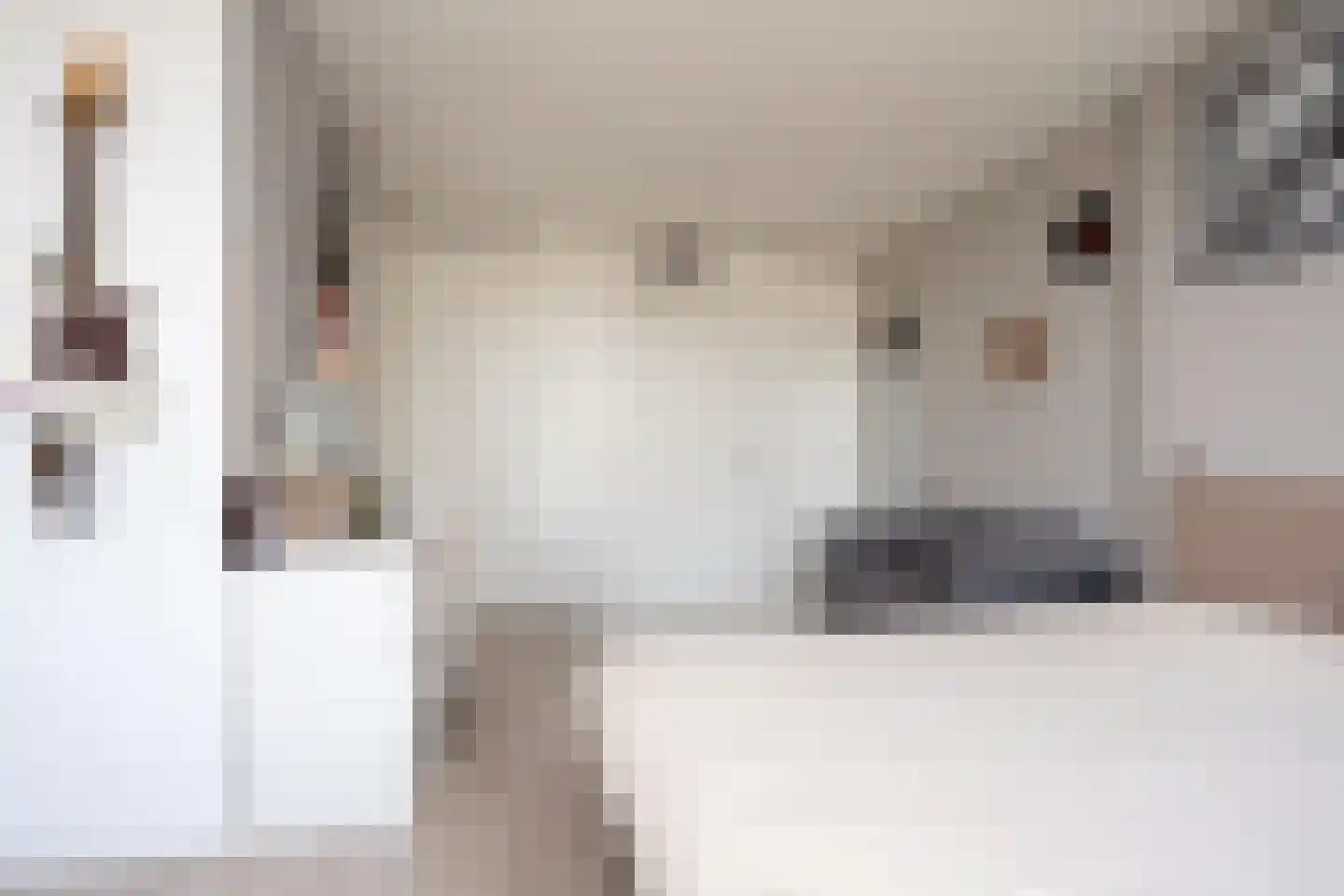 Oostmeerlaan 164 Berkel en Rodenrijs thumbnail 44