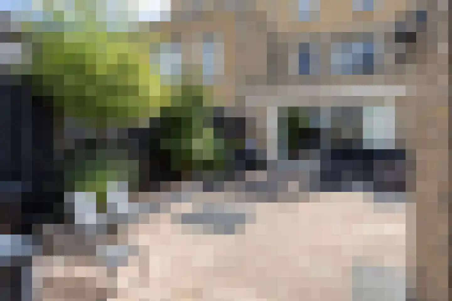 Oostmeerlaan 164 Berkel en Rodenrijs thumbnail 50