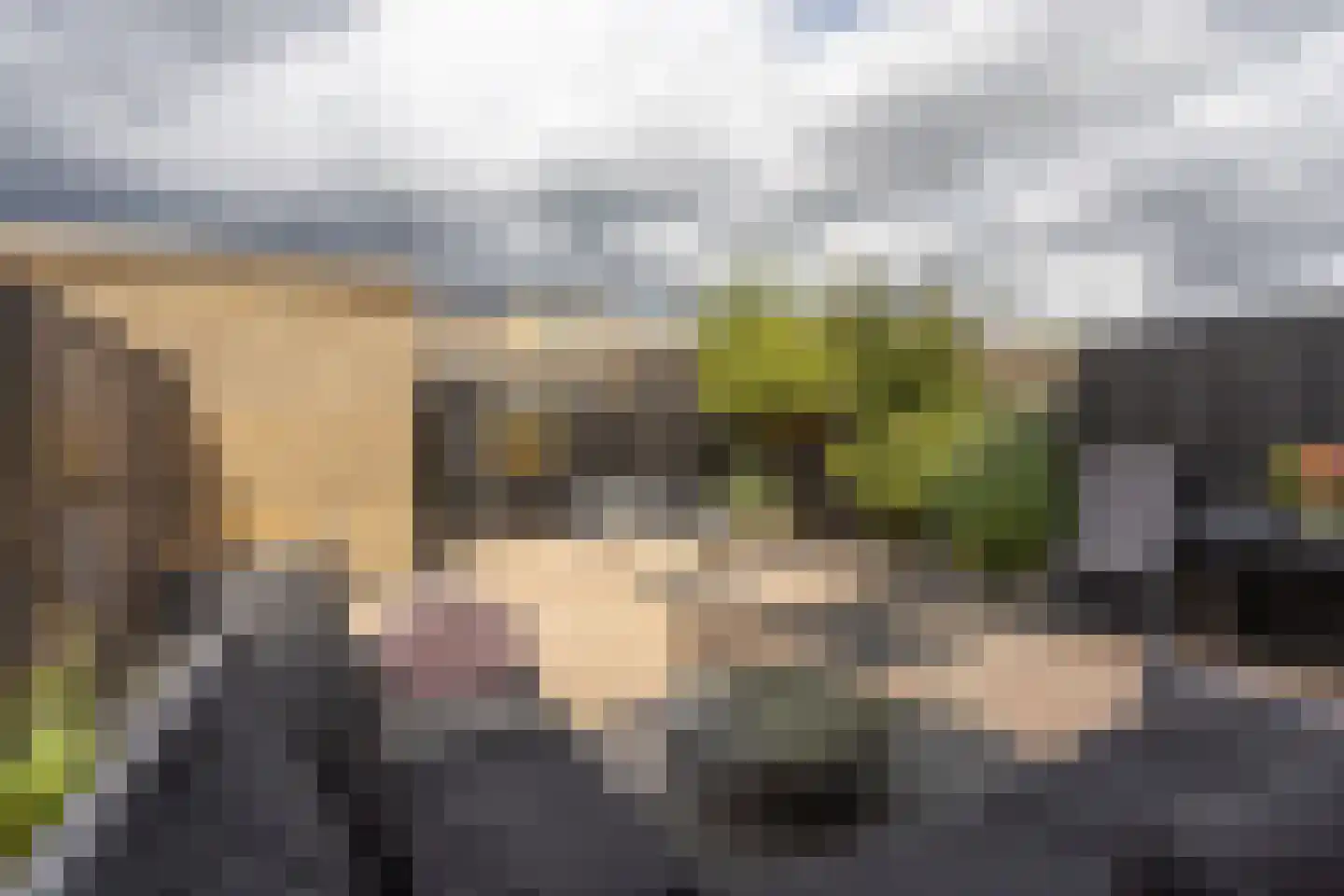 Oostmeerlaan 164 Berkel en Rodenrijs thumbnail 53