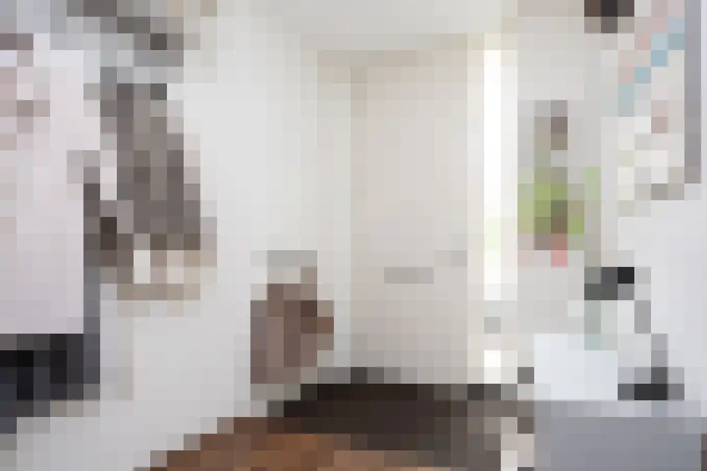 Oostmeerlaan 164 Berkel en Rodenrijs thumbnail 6