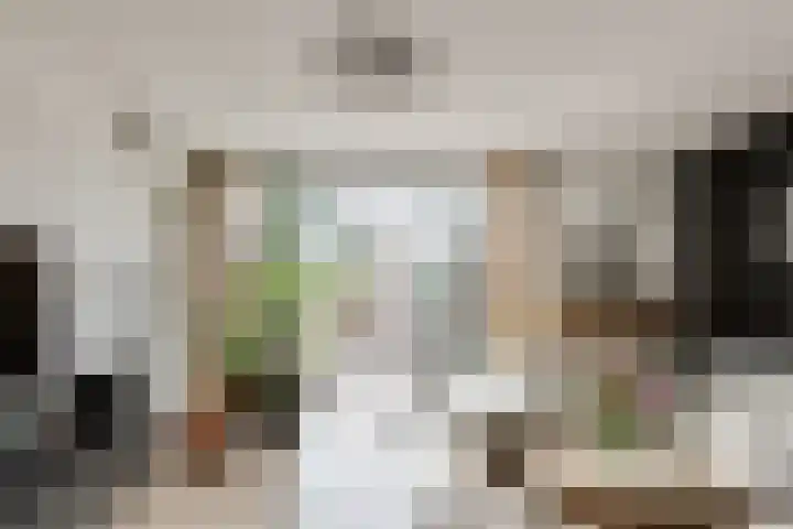 Oostmeerlaan 197 Berkel en Rodenrijs thumbnail 11