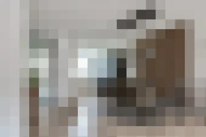 Oostmeerlaan 197 Berkel en Rodenrijs thumbnail 13