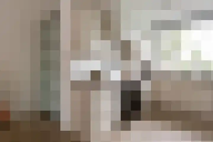 Oostmeerlaan 197 Berkel en Rodenrijs thumbnail 15