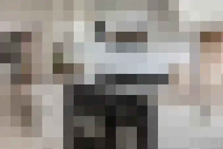 Oostmeerlaan 197 Berkel en Rodenrijs thumbnail 16