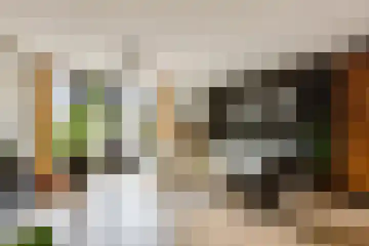 Oostmeerlaan 197 Berkel en Rodenrijs foto 2