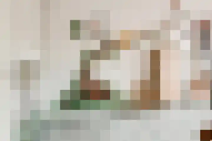 Oostmeerlaan 197 Berkel en Rodenrijs thumbnail 20