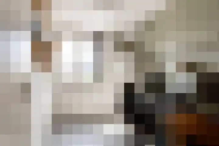 Oostmeerlaan 197 Berkel en Rodenrijs thumbnail 23