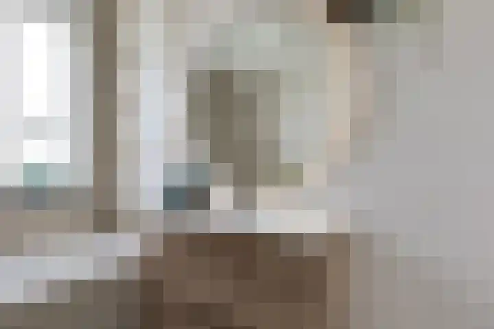 Oostmeerlaan 197 Berkel en Rodenrijs thumbnail 26