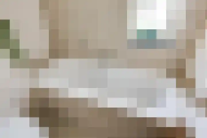 Oostmeerlaan 197 Berkel en Rodenrijs thumbnail 27