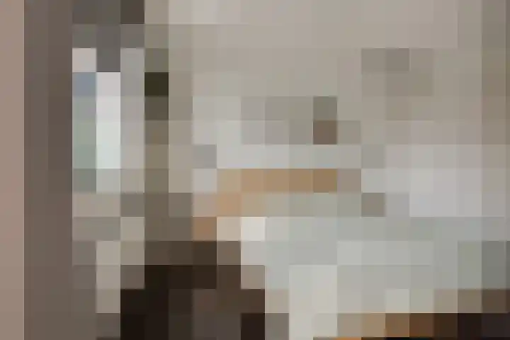Oostmeerlaan 197 Berkel en Rodenrijs thumbnail 29