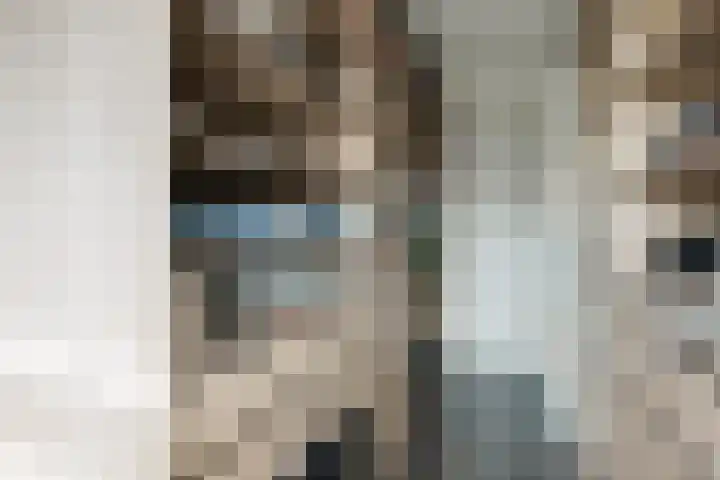 Oostmeerlaan 197 Berkel en Rodenrijs thumbnail 31