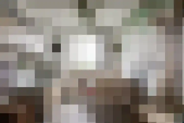 Oostmeerlaan 197 Berkel en Rodenrijs thumbnail 33