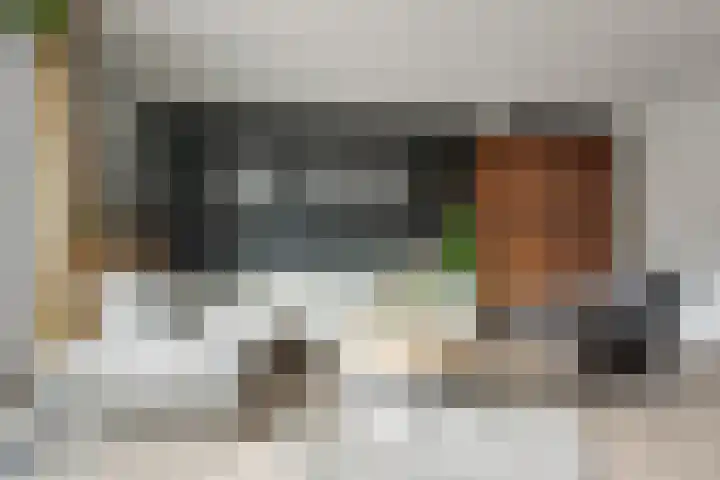 Oostmeerlaan 197 Berkel en Rodenrijs thumbnail 9