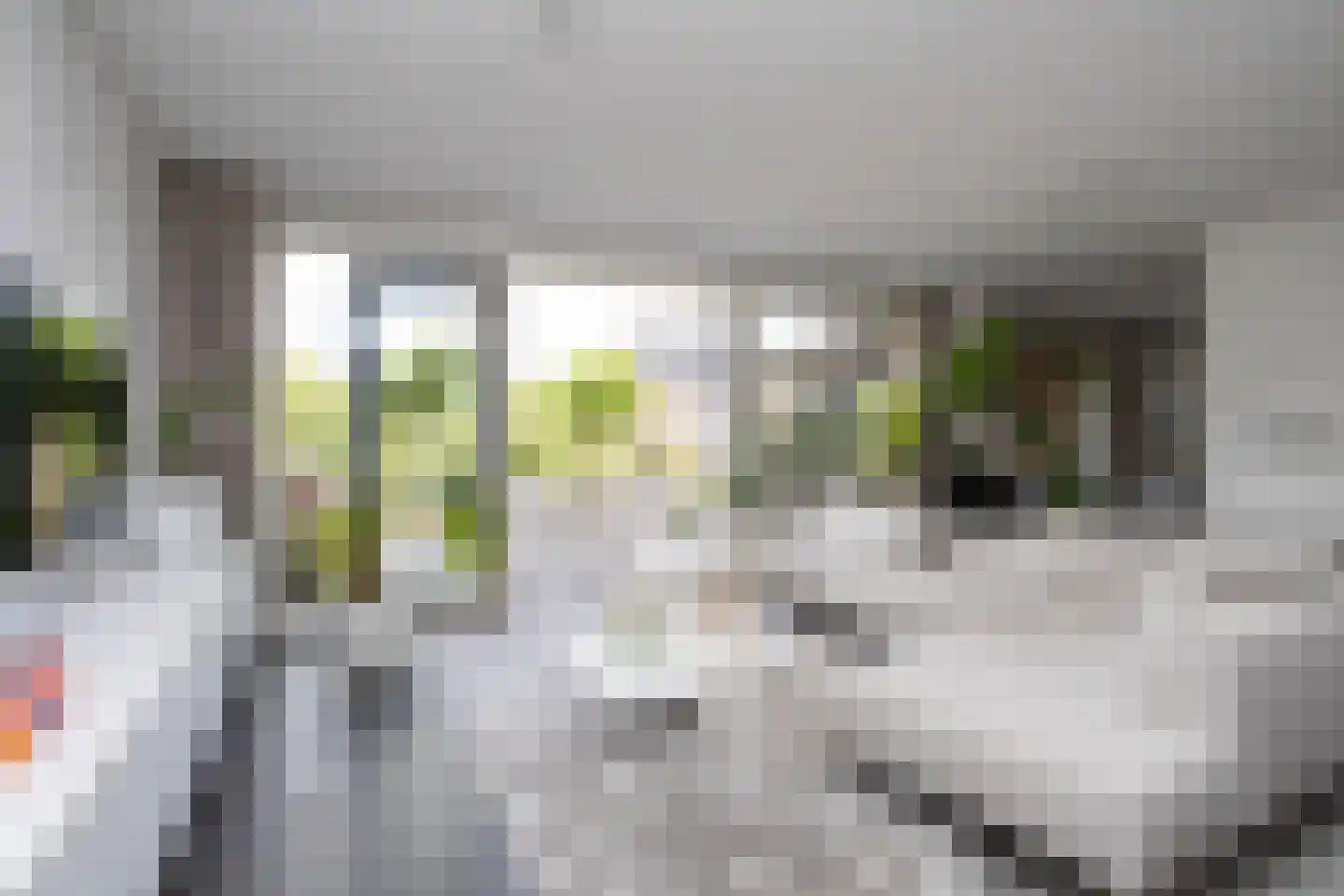 Oostmeerlaan 20 Berkel en Rodenrijs thumbnail 10