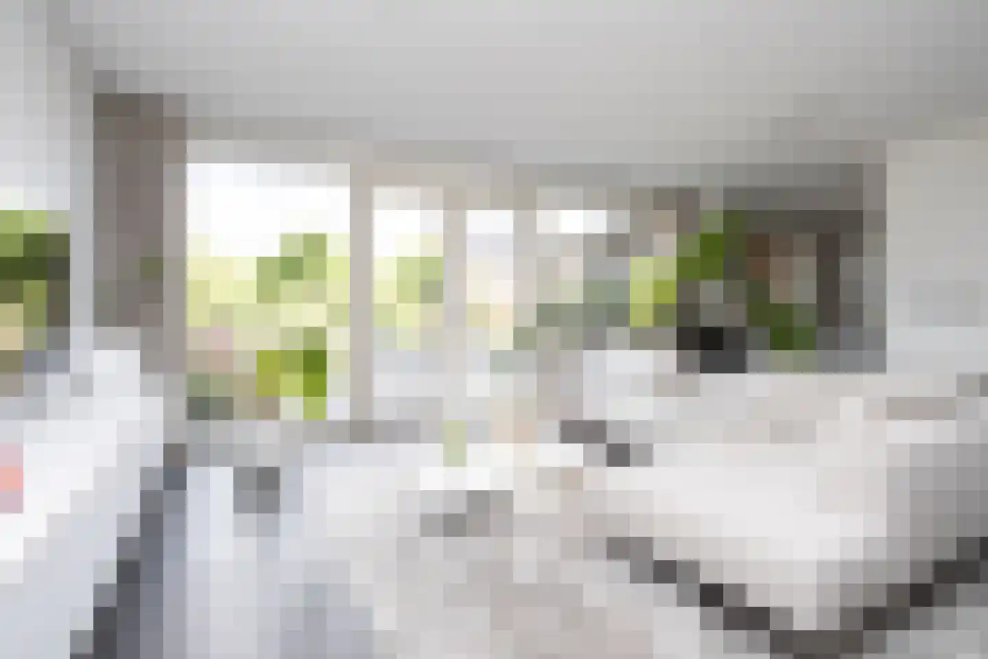 Oostmeerlaan 20 Berkel en Rodenrijs thumbnail 11