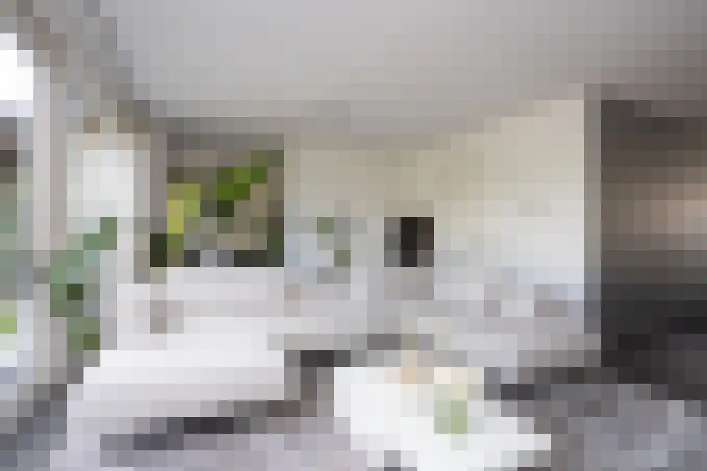 Oostmeerlaan 20 Berkel en Rodenrijs thumbnail 12
