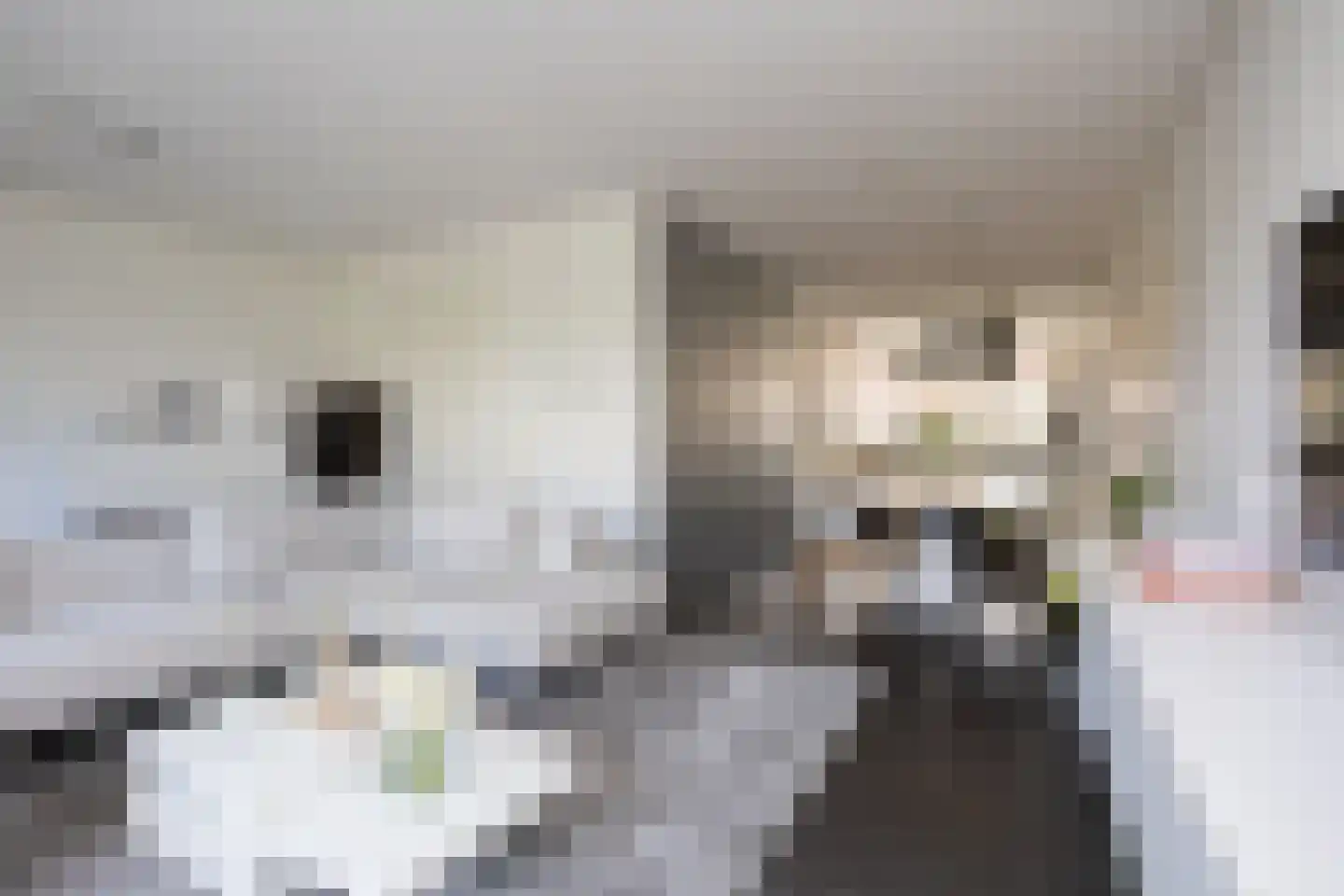 Oostmeerlaan 20 Berkel en Rodenrijs thumbnail 13