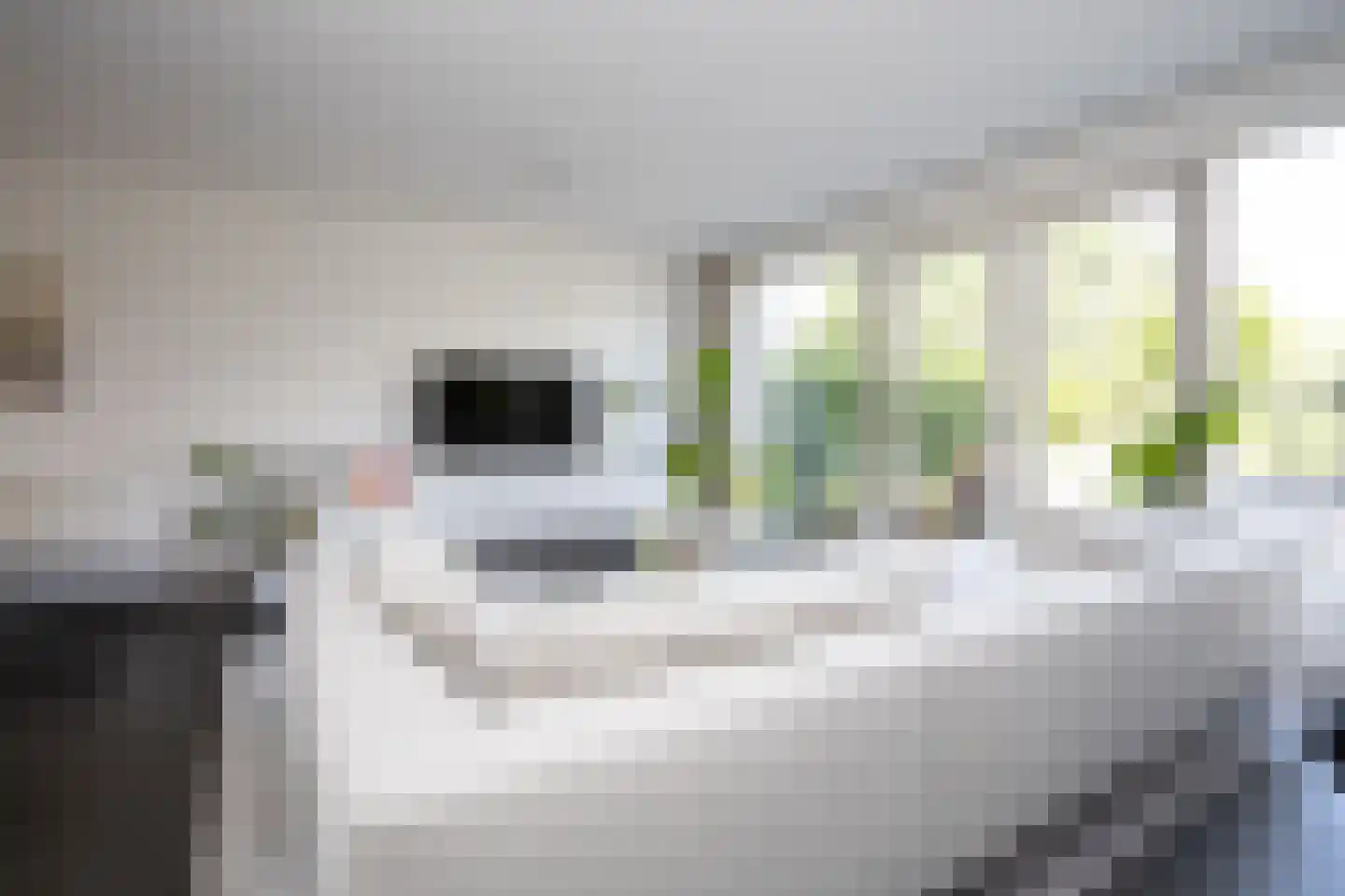 Oostmeerlaan 20 Berkel en Rodenrijs thumbnail 15