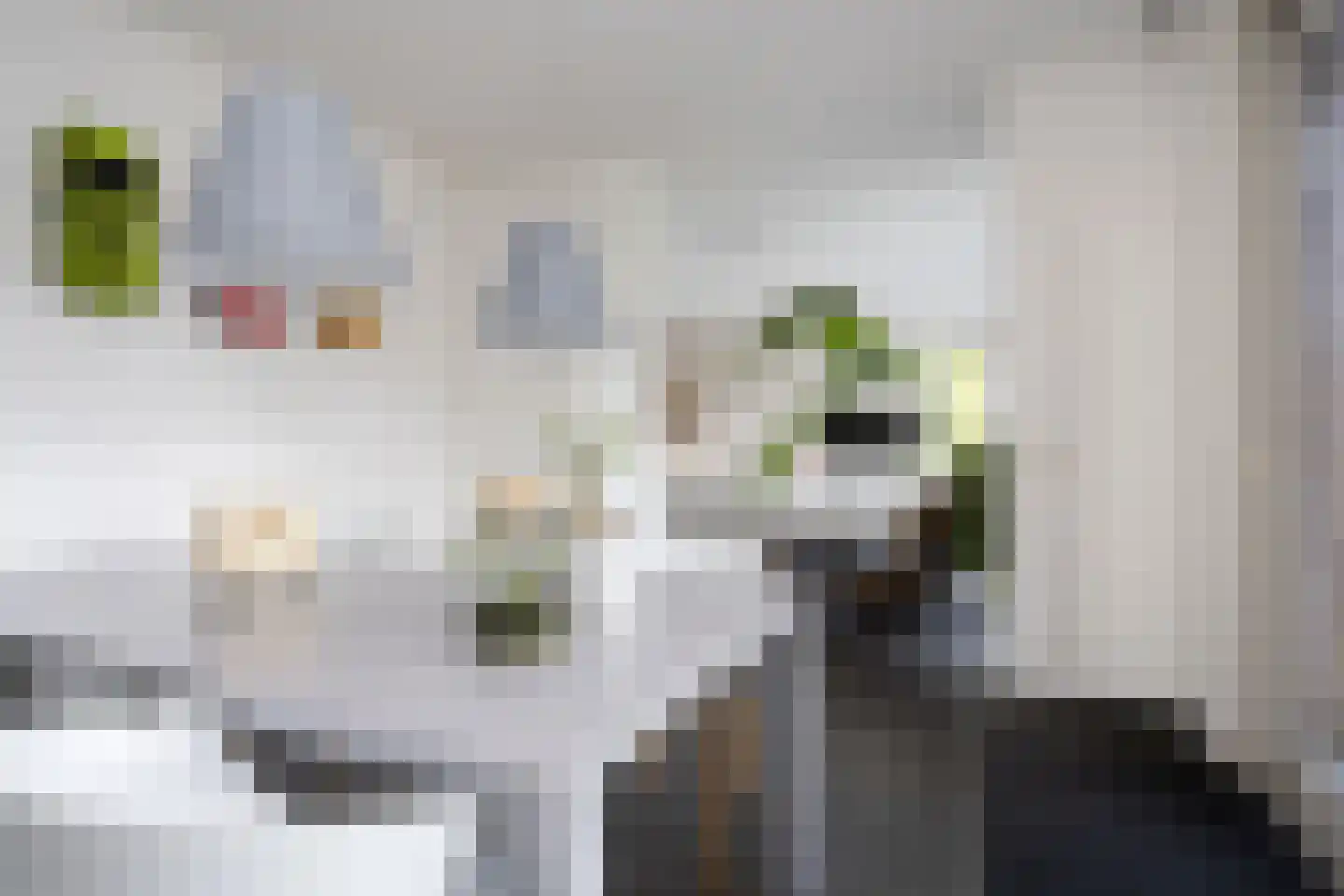 Oostmeerlaan 20 Berkel en Rodenrijs thumbnail 19