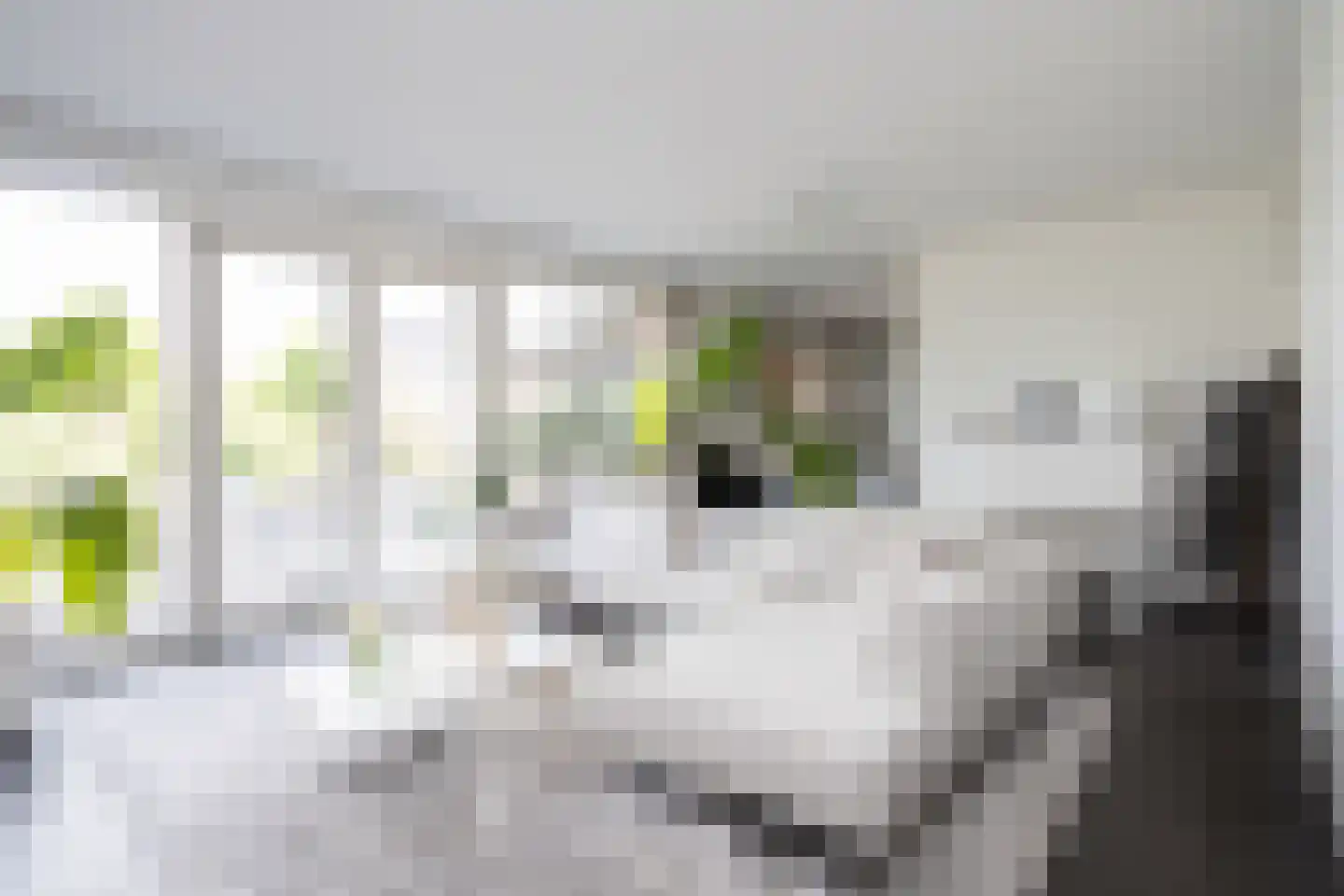 Oostmeerlaan 20 Berkel en Rodenrijs foto 2