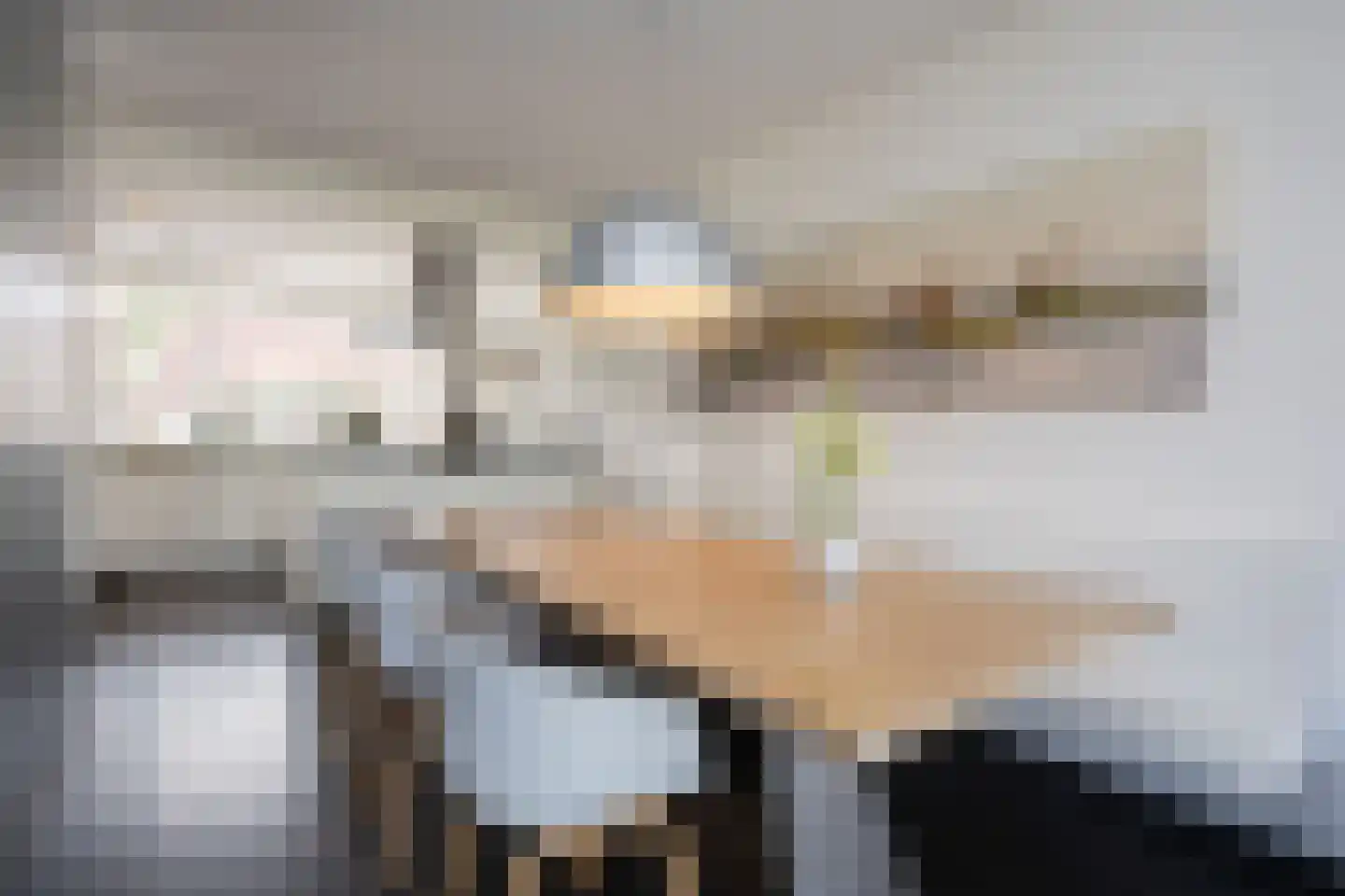 Oostmeerlaan 20 Berkel en Rodenrijs thumbnail 22