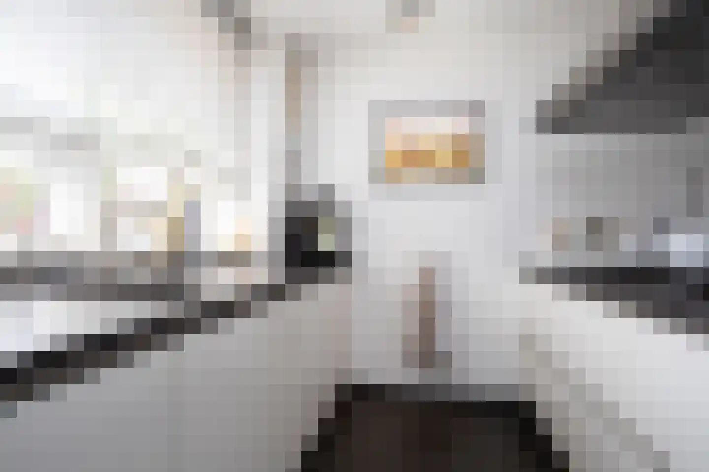 Oostmeerlaan 20 Berkel en Rodenrijs thumbnail 24