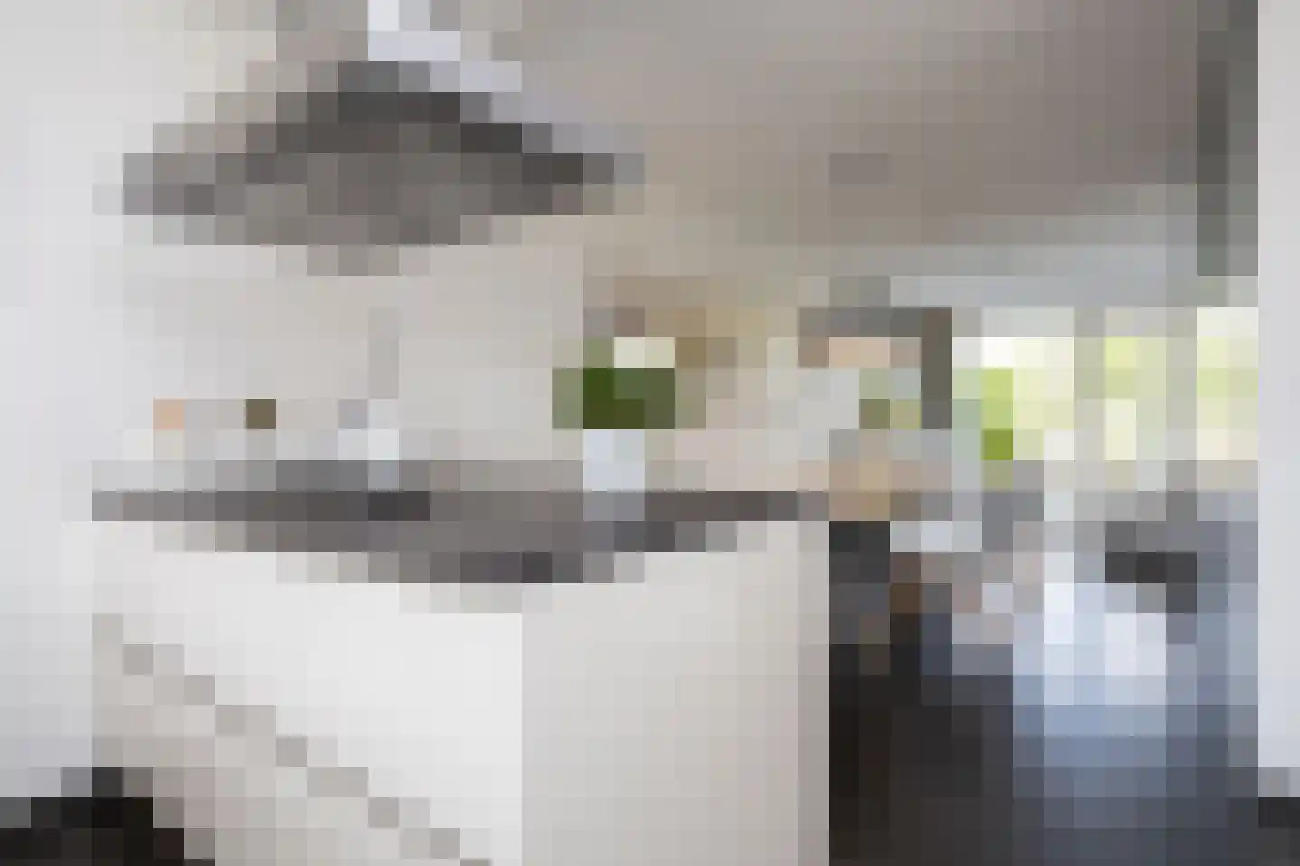 Oostmeerlaan 20 Berkel en Rodenrijs thumbnail 25