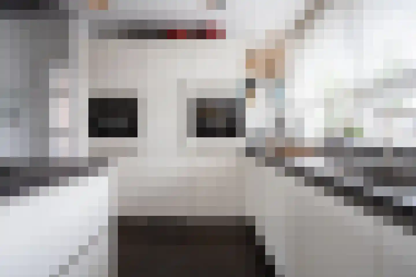 Oostmeerlaan 20 Berkel en Rodenrijs thumbnail 28