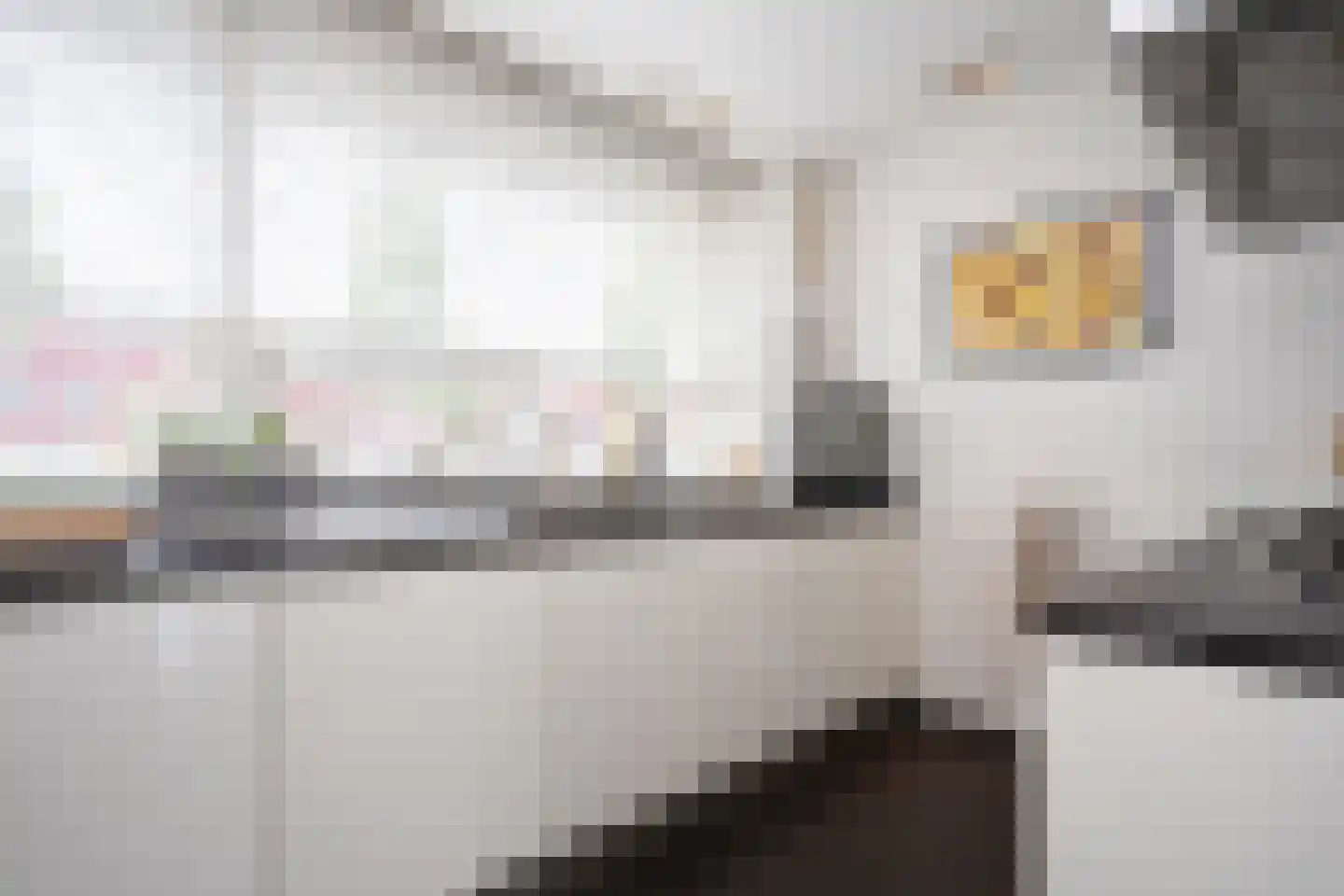 Oostmeerlaan 20 Berkel en Rodenrijs thumbnail 29