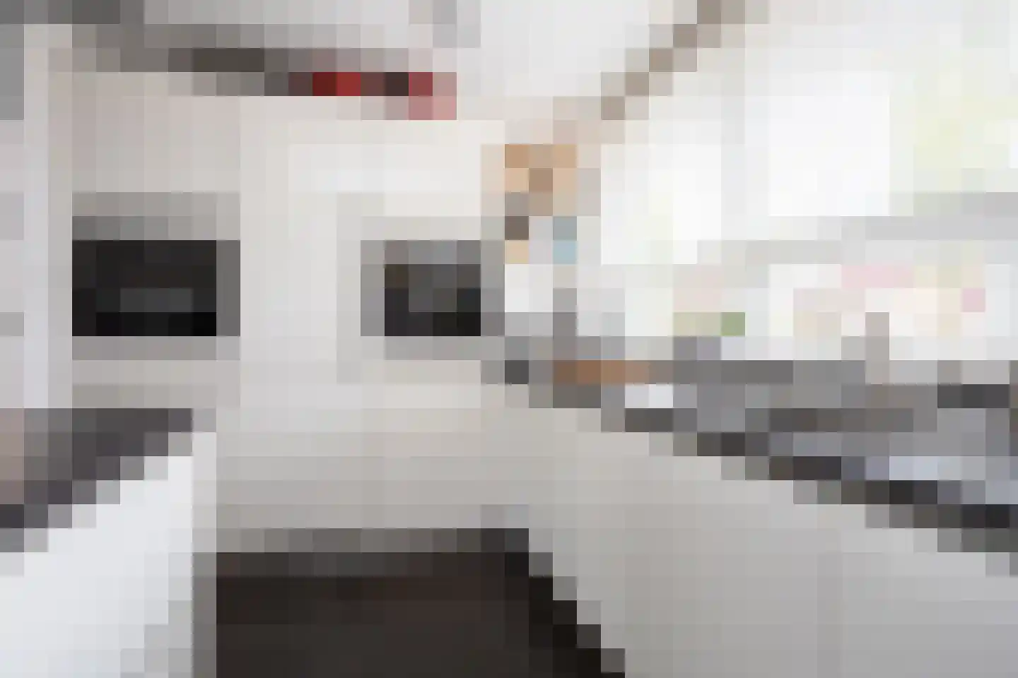Oostmeerlaan 20 Berkel en Rodenrijs thumbnail 30